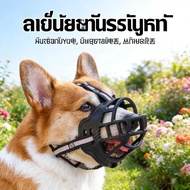 "Dog Muzzle Glass Escort Outstanding Products"