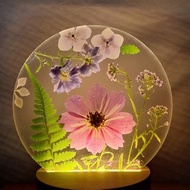 手作押花療愈LED小夜燈 | 波斯菊小夜燈
