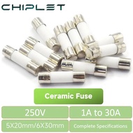 20PCS 5x20 6x30mm Ceramic Fuse 250V Fuse Fuse Type Multimeter 1A 2A 3A 3.15A 4A 5A 6A 6.3A 10A 15A 2