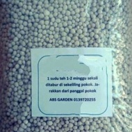 (12-12-17) - Baja Buah