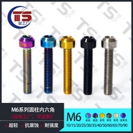 TS M6X10/15/20/25/30/35/40/45/50/55/60mm Titanium Alloy TC4 M6 Screw Nmax155 Water Tank Cover Titani