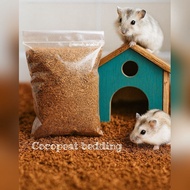 Cocopeat hamster, processed cocopeat, cocopeat hamster bedding, cocopeat cage bedding, cocopeat hams