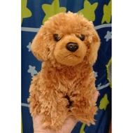 Boneka Anjing Poodle