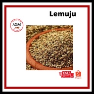 AGM LEMUJU READY STOCK BARU