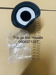 Dù trái ga (dù ga) xe Hayate