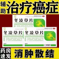 Guangyu Winter Grass Tablets 0.26g * 24 Tablets/Box Auxiliary Cancer Treatment Chinese Medicine Reli