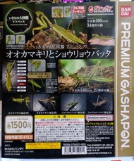 Bandai - Gashapon - 1500 Yen 扭蛋 - 生物大圖鑑 -  螳螂 / 蚱蜢 (價格留意內文)