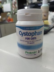 長期現貨 cystophan for cats 30粒 protexin