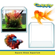Perfect Square Aquarium Glass Rimless Tank 20cm 25cm 30cm