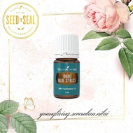Idaho Blue Spruce Essential Oil 5ml