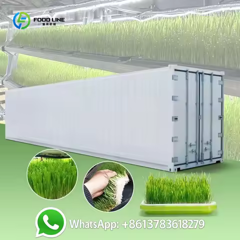 Customized Automatic Motor Driven Aquaponic Mushroom Sprout Farming System Grass Bud Cattle Green Fo