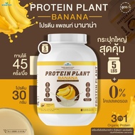 WISAMIN Plant Protein Formula 1 Banana Flavor | 2.27 kg (5LB) | Halal Certified | Organic | Vegan | 