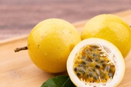 Anak Pokok Markisa Kuning/Golden Yellow Passion Fruit Sapling/黄金百香果苗 - Seri Bjaya