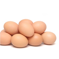 5/20 Pcs Plastic Fake Eggs Hen Hatching Simulation Egg Laying Hen House Fake Eggs Farm Animal Suppli