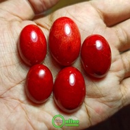 Natural MARJAN RED CORAL Agate