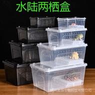 Reptile Tank Breeding Box Insect Silkworm Baby Crab Horned Frog Gecko Lizard Snail Turtle Tank Climb