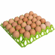 30 PCS Plastic Egg Tray/Egg Holder Stackable Plastic Tray/Long-distance Transport Egg Tray Thickened