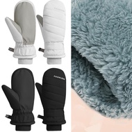 Crazy 2pack Mountain Climbing Snow Gloves Winter Sports Hand Protecting Mittens