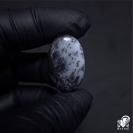 Natural Dendritic Agate Chalcedony Colector Item ( Rare Item )