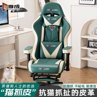 Household Computer Chair Electric Reclining Chair Other Competitive Chairs Office Ergonomics Cat Cla