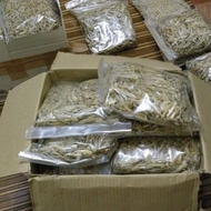 Ikn bilis terbaik dari sabah