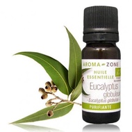 Aromazone Eucalyptus Essential Oil