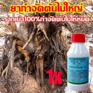 💥ตรงไปที่ราก รากไม้เน่า1000%💥 ยากำจัดต้นไม้ สารกำจัดกอไผ่ ผงกำจัดต้นไผ่ ยาฆ่าตอไม้ 200g สูตรเข้มข้น 