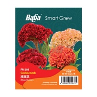 BABA Smart Grow Seed: FR-203 Cockscomb BABA Smart Grow Benih: FR-203 Cockscomb BABA Smart Grow Seed：