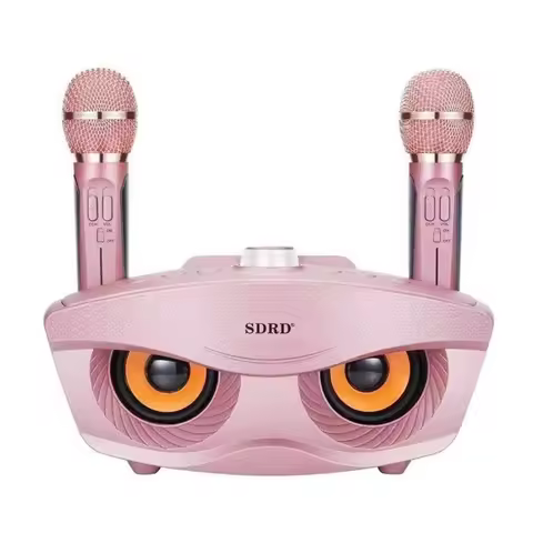 Wholesale SD306 20W Bass Sound Family KTV 2 IN 1 Portable Karaoke BT Wireless Speaker With Dual Hand