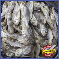 IKAN GELAMA PERKASAM [BORONG] (250G)