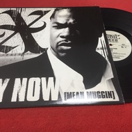 Xzibit-Hey Now 12 Inch LP PinHaiMusic B150 Shop