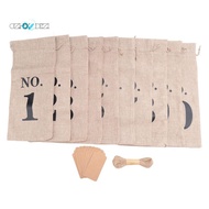10Pcs Burlap Wine Bags with Tags for Blind Wine Tasting, Numbered Hessian Cloth Glass Bottle Gift Ba