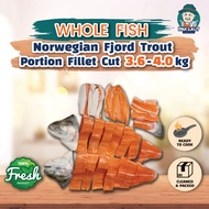 【FRESH PREMIUM GRADE】NORWEGIAN FJORD TROUT SALMON FISH - 3.6-4KG