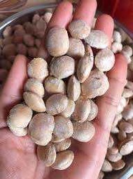 500G Hạt Sachi Daklak