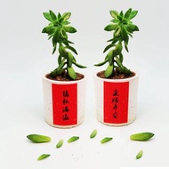 獨家組合-迷你春聯 祝福貼紙 福杯滿溢 主賜平安 1全張12小張