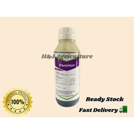 1L  BAYER AMBITION / BAJA AMINO ASID