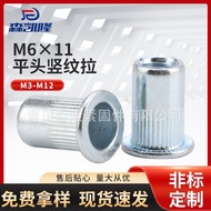 Galvanized Pull Nut in Stock11Carbon Steel*Vertical Stripes Flat Head Rivet Supplier M6Wholesale 85R