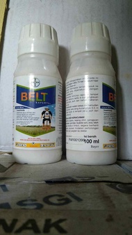Insektisida BELT expert 480SC 100ml