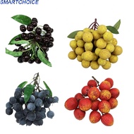 Longan Lychee Blueberry Cherries Vibrant Decorative Fake Fruit Assortment