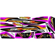 F1ZR STRIPING VARIATIONS F1ZR MOTORCYCLE STICKER/