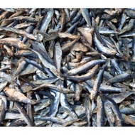 Stone Anchovy1/2 kg