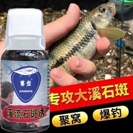 Stream Grouper Fishing Grouper Bait Additive Stream Wild Fishing Grouper Fish Attractant