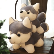 Gấu bông chó husky đeo chuông dễ thương siêu mềm siêu cưng (20cm---50cm) Gối ôm chó husky mềm mịn an