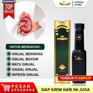 Obat Ginjal Paling Ampuh Ginjal Bocor Gagal Ginjal Infeksi Ginjal Kista Ginjal Ginjal Bengkak Infeks