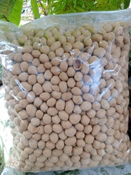 Kacang oven atom bima/kacang Mayasi