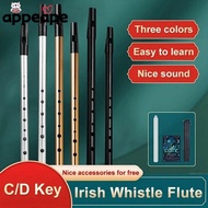 APPEAPE Irish Whistle Flute, Easy-to-learn C/D Key Aluminum Tin Whistle, Traditional Rich Tone 6 Hol
