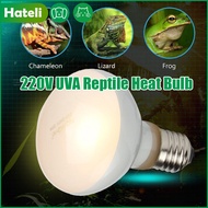 Hateli 220V bò sát UVA bóng đèn sưởi cho các loài bò sát thực sự nắng giống như nhiệt sáng