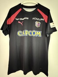 大阪櫻花Training