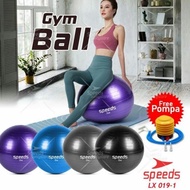 gym ball bola gym ball bola senam ibu hamil ls