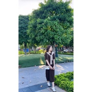 Soft toothpick dress with round neck Sailor scarf Vaysuongkemkhan148 P2 /K9